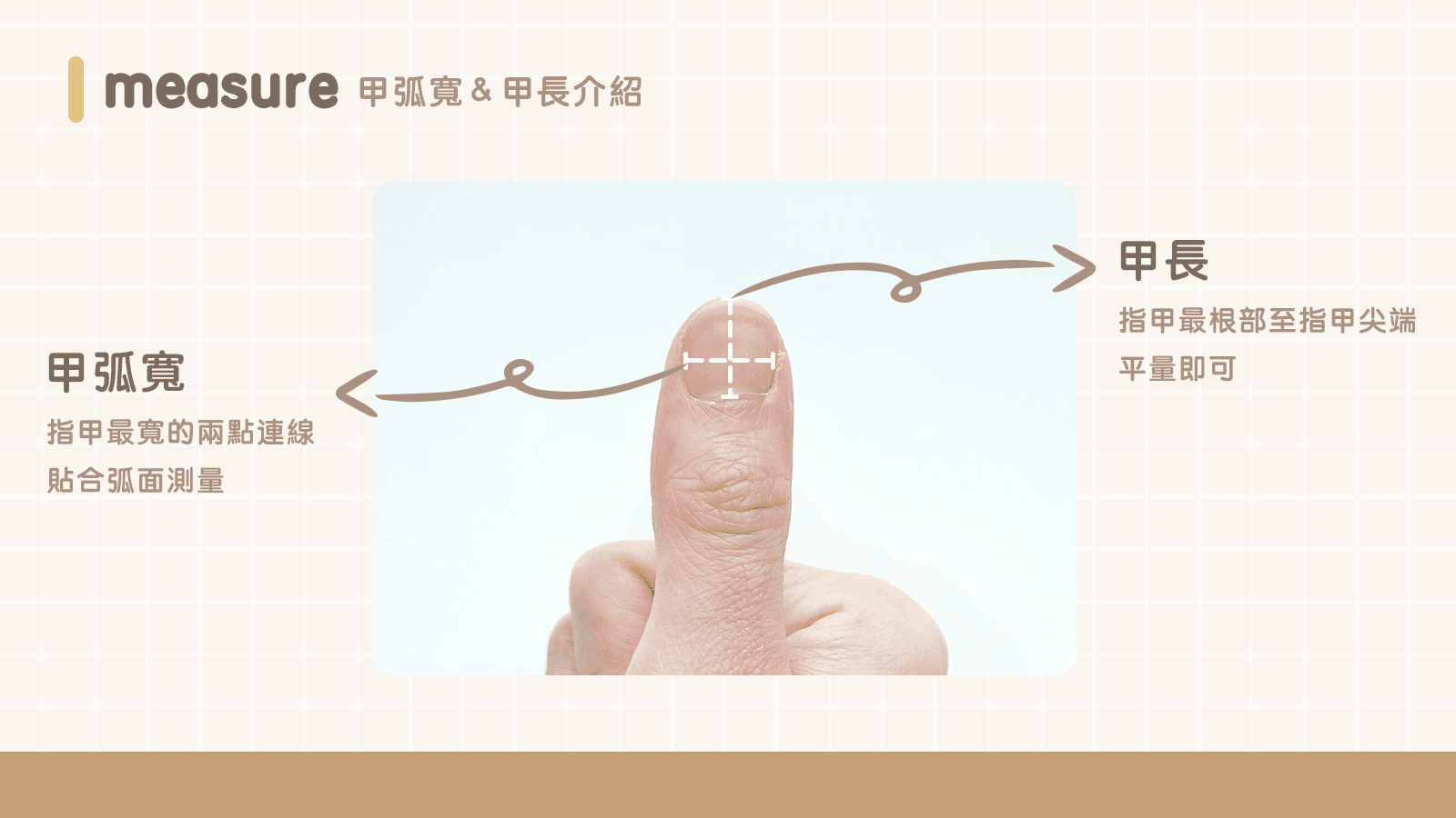 指甲尺寸測量重點示意圖